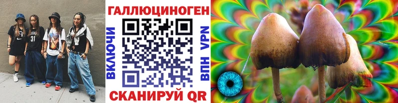 даркнет сайт  Кодинск  Псилоцибиновые грибы прущие грибы 