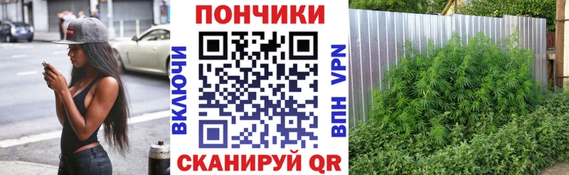 где купить наркоту Кодинск ОМГ ОМГ как зайти Каннабис конопля